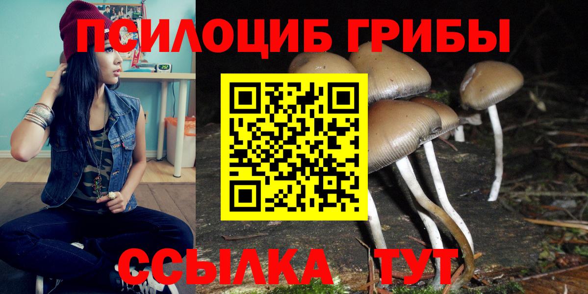 Галлюциногенные грибы MAGIC MUSHROOMS Семилуки